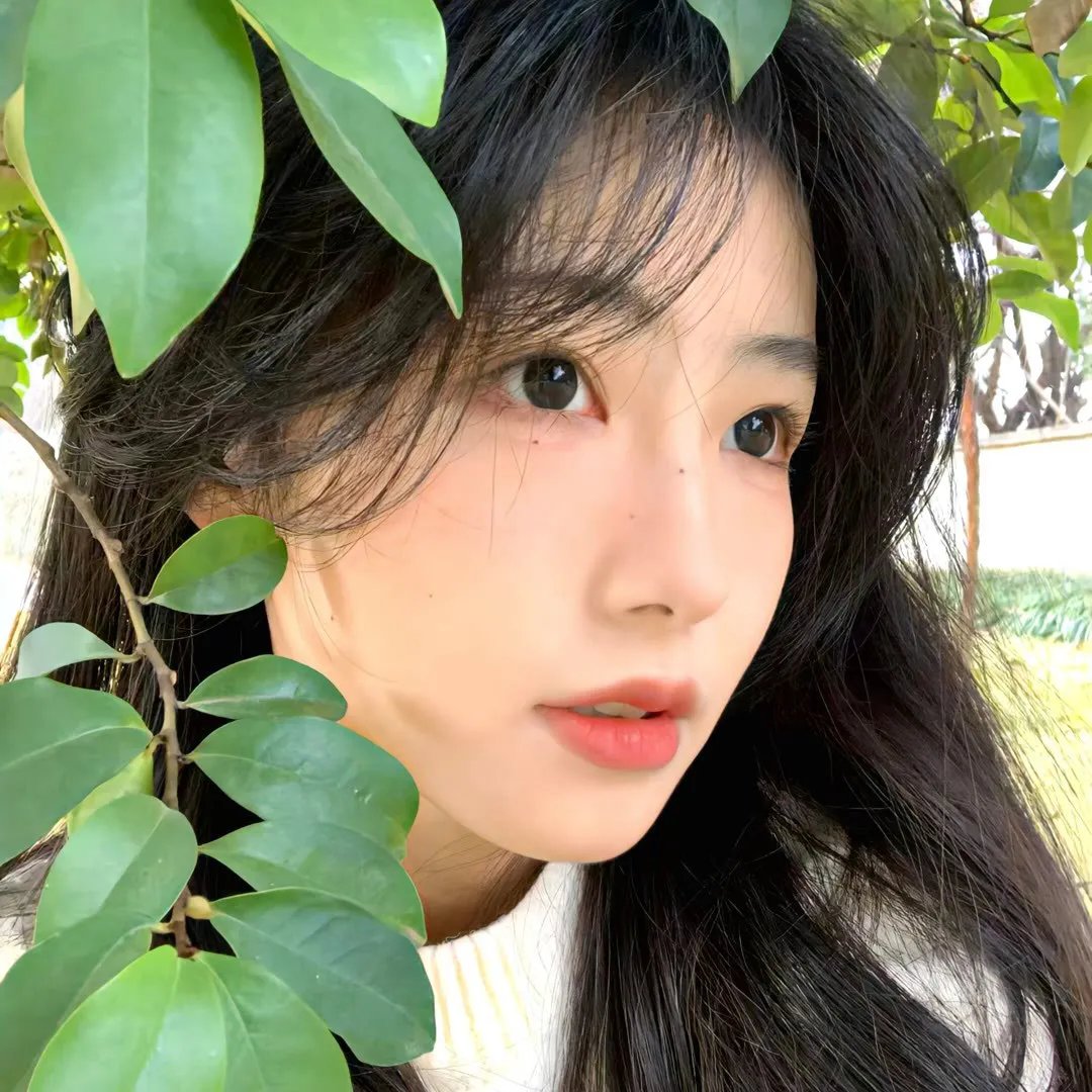 风流皇后